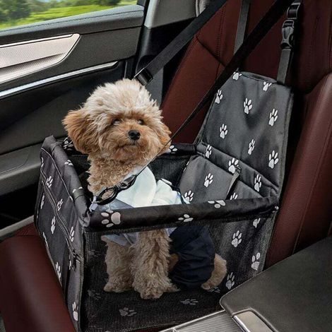 Seggiolino per cani