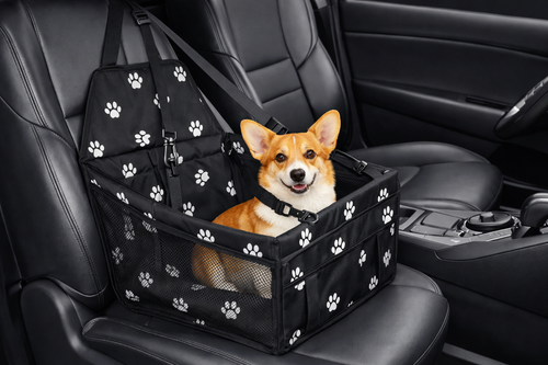Seggiolino per cani