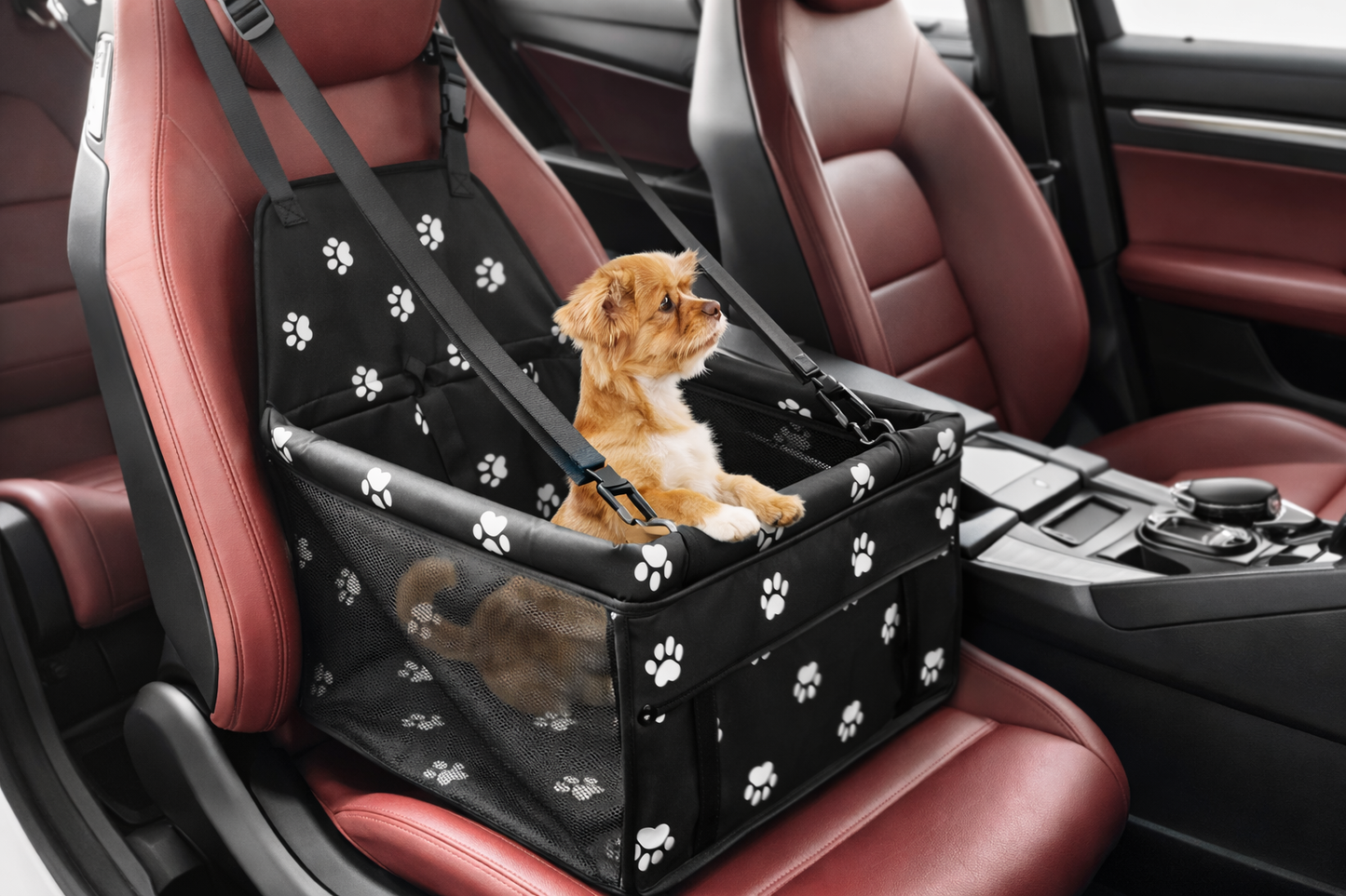 Seggiolino per cani